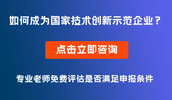 國家技術創(chuàng)新示范企業(yè)
